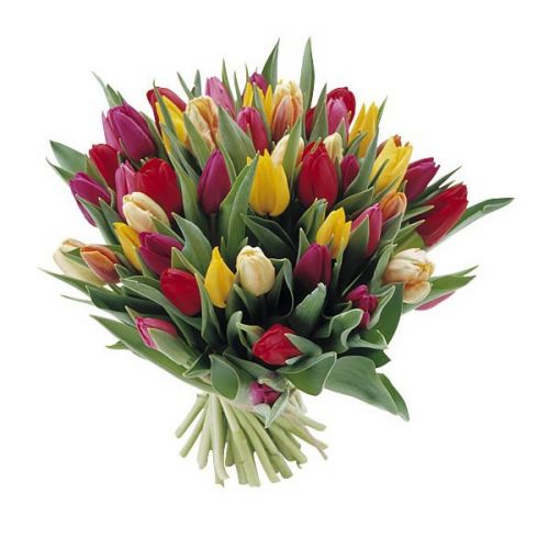 Букет тюльпанов микс "Скарлет" в интернет-магазине - купить с доставкой по Алексину