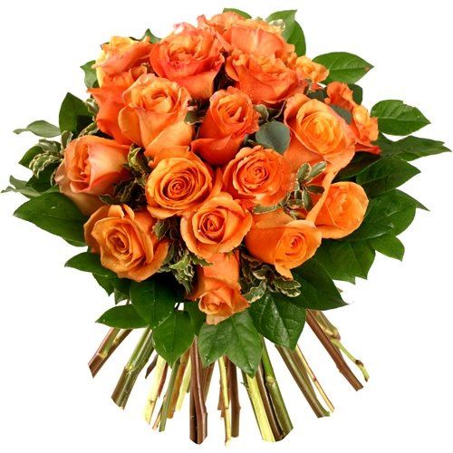Оранжевые розы с доставкой по Алексину