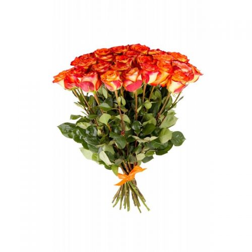 Купить 31-ну оранжевую розу с доставкой по Алексину