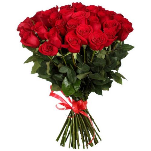 Купить 35 красных роз в интернет-магазине с доставкой по Алексину