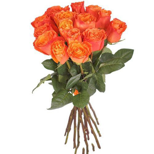 Купить букет из 15-ти оранжевых роз с доставкой по Алексину